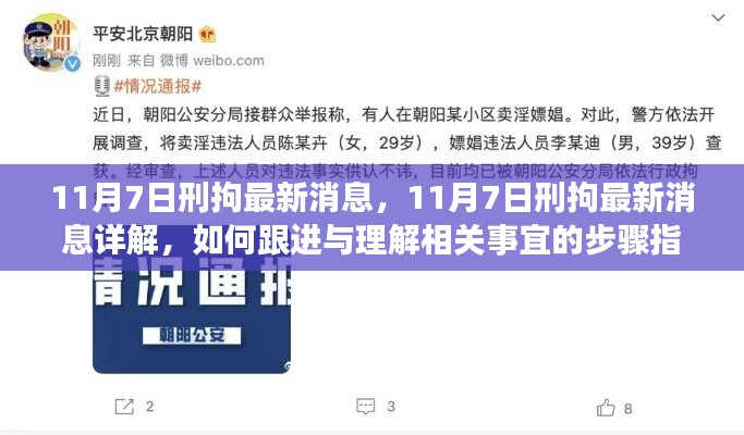 11月7日刑拘最新消息详解，跟进与理解相关事宜的步骤指南