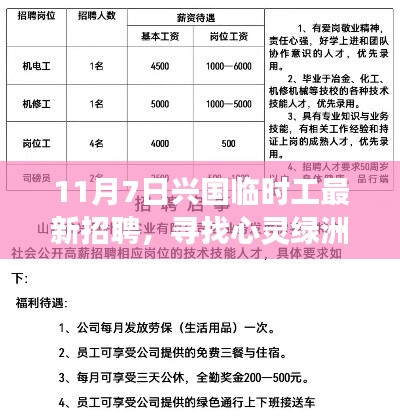 11月7日兴国临时工最新招聘之旅，寻找心灵绿洲