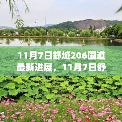 11月7日舒城206国道最新进展，前行中的学习与成长之路