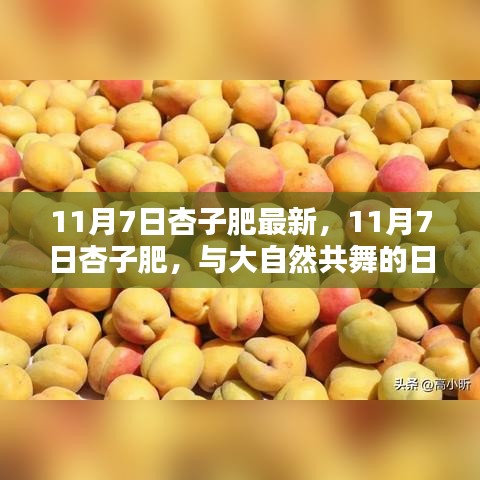 橘虞初梦 第13页