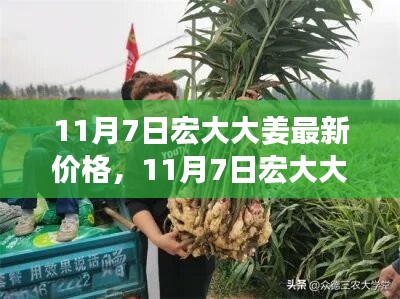 广告纸抽 第166页