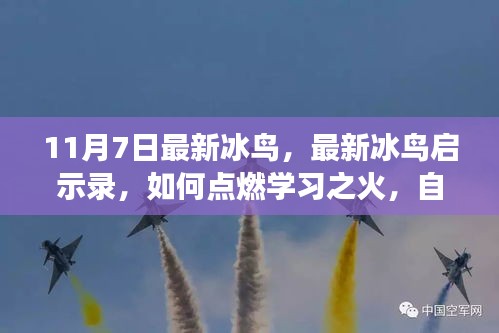 最新冰鸟启示录，点燃学习之火，自信翱翔知识天空