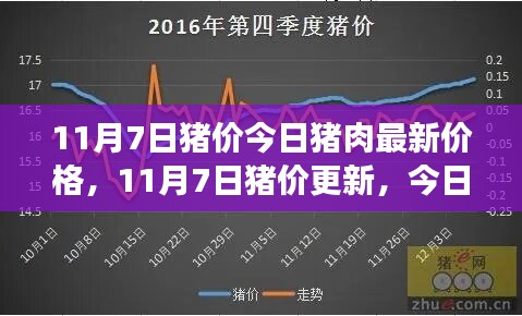 11月7日猪肉价格更新，今日市场最新动态及分析