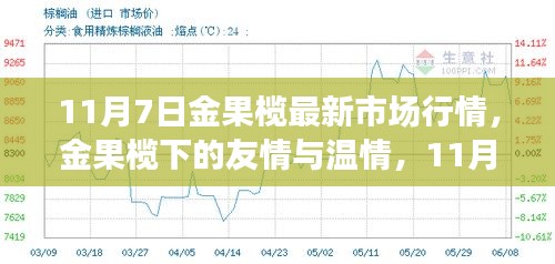 11月7日金果榄市场行情，友情与温情的交织日常