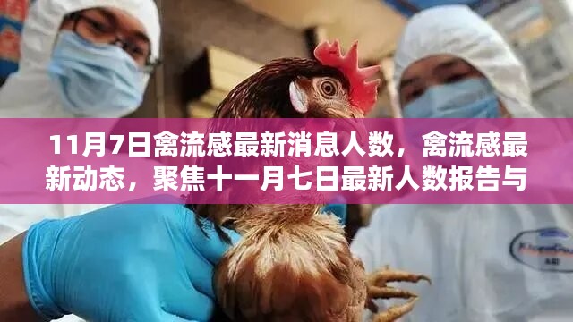 11月7日禽流感最新动态，人数报告与深远影响聚焦