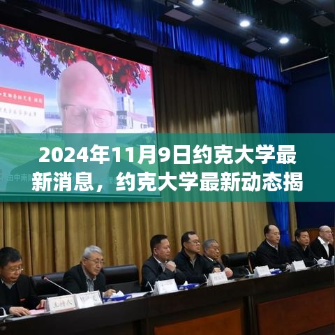 约克大学最新动态揭秘，2024年11月9日里程碑事件回顾与展望