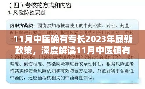 深度解读，2023年中医专长最新政策解析与竞品分析，特性体验与用户群体洞察