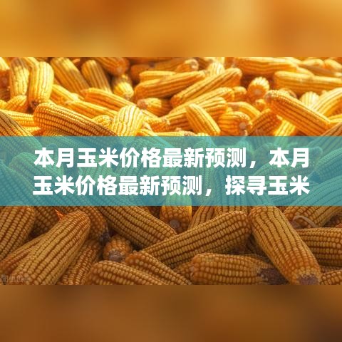 广告纸抽 第634页