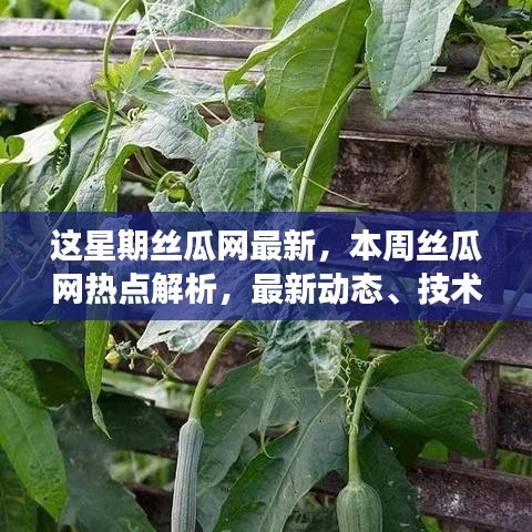 广告纸抽 第628页