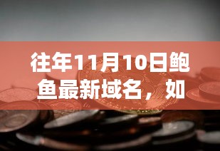 往年11月10日鲍鱼域名获取攻略，详细步骤指南