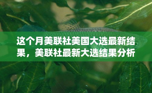 美联社最新大选结果分析与民意走向，聚焦某某观点的深度解读