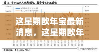 欧年宝最新动态，重磅更新与未来展望揭秘！