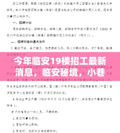 临安秘境与19楼招工最新动态，小巷特色小店与招工新篇章揭晓