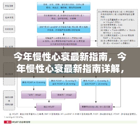 今年慢性心衰指南详解，管理与应对的全方位指南