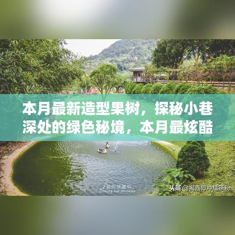 广告纸抽 第118页