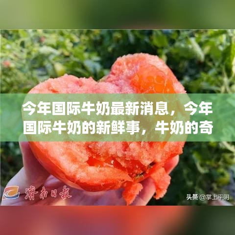 今年国际牛奶新鲜事，奇妙旅程与友情小温馨