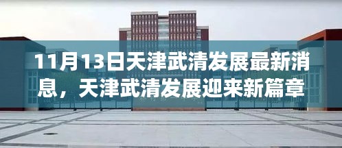 天津武清发展迎来新篇章，揭秘最新动态与进展（11月13日）