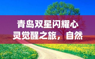 青岛双星闪耀心灵觉醒之旅，自然美景下的最新事件回顾 2024年11月13日