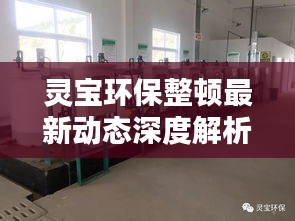 灵宝环保整顿最新动态深度解析与观点阐述