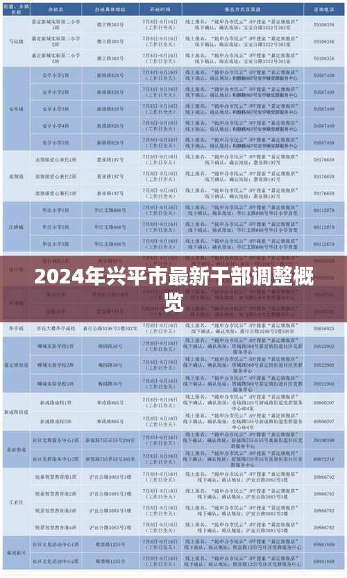 2024年兴平市最新干部调整概览