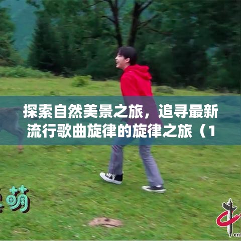 探索自然美景之旅，追寻最新流行歌曲旋律的旋律之旅（11月最新流行歌曲，带你领略自然美景）