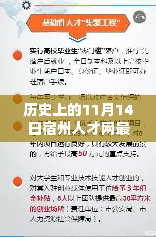 历史上的11月14日宿州人才网最新招聘信息全解析，求职招聘攻略与详解