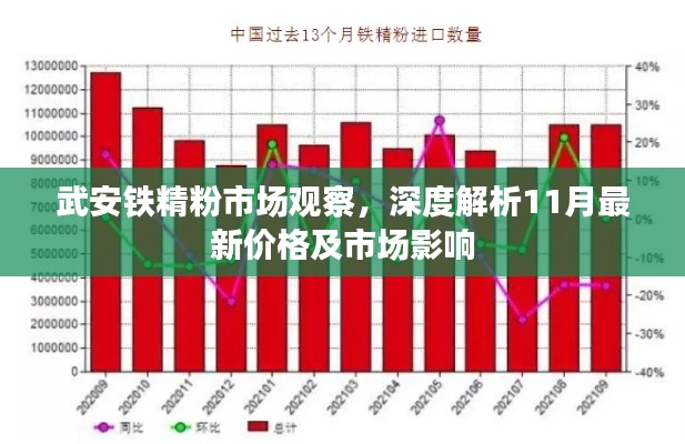 武安铁精粉市场观察，深度解析11月最新价格及市场影响