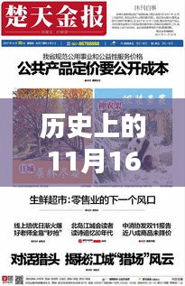 历史上的11月16日威微最新图片全方位解析，特性、体验与目标用户深度探讨