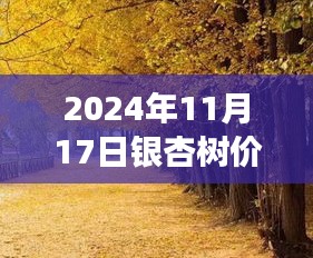 探寻银杏叶背后的价格变迁，最新银杏树价格解析（2024年）