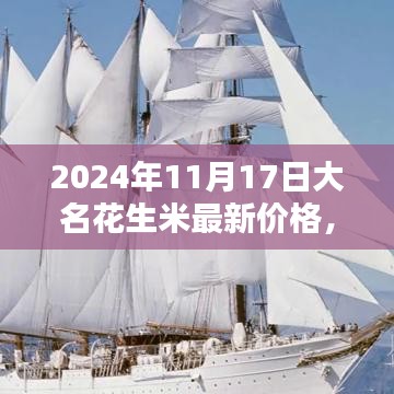 大名花生米最新价格深度解析与评测报告，深度解析与用户体验分享（2024年11月）