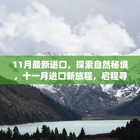 十一月进口新启程，探索自然秘境，寻找内心宁静与微笑的旅程