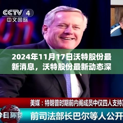 沃特股份最新动态与行业焦点深度解析，2024年11月17日报告