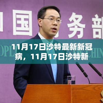 11月17日沙特新冠病例最新动态，初学者与进阶用户防护指南