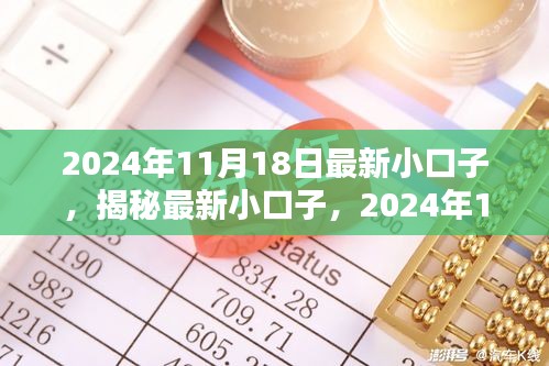 揭秘最新小口子，新机遇与挑战下的2024年11月18日展望