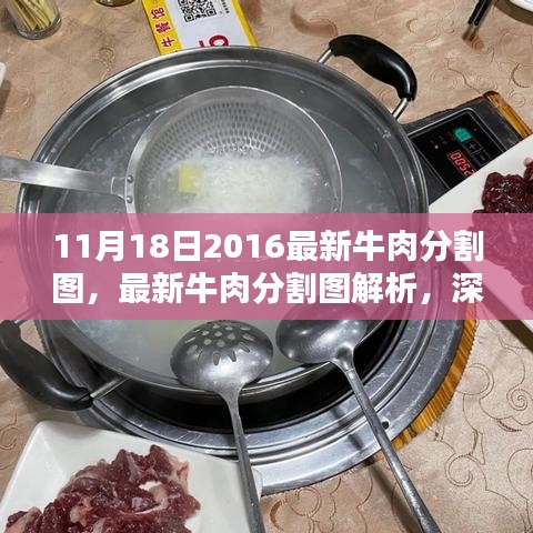 深入了解牛肉部位与特性的最新分割图解析（2016年11月版）