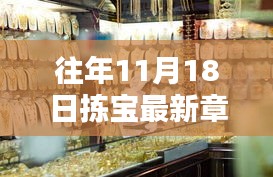 探秘往年11月18日拣宝最新章节，小巷深处的独特小店宝藏