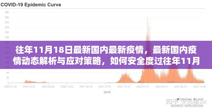 往年11月疫情高峰指南，最新疫情动态解析与应对策略，保障安全度过高峰时期