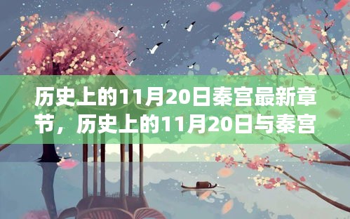 历史上的11月20日与秦宫最新章节，深度解读及观点阐述