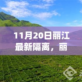 广告纸抽 第15页