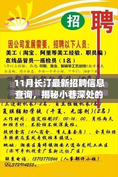 揭秘长汀十一月最新招聘信息与独特小店，小巷深处的宝藏店铺推荐