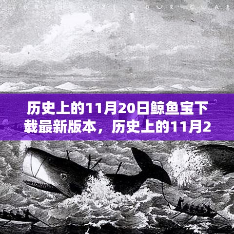 历史上的11月20日，鲸鱼宝下载最新版本的里程碑时刻