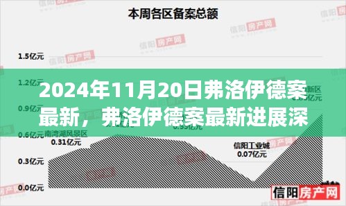 弗洛伊德案最新进展深度解析（截至2024年11月20日）