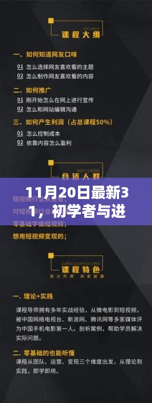 11月20日最新指南，技能31详细步骤，适合初学者与进阶用户参考