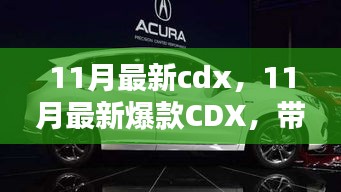 11月最新爆款CDX引领时尚潮流新纪元