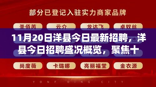 洋县最新招聘盛况概览，聚焦职场新动向