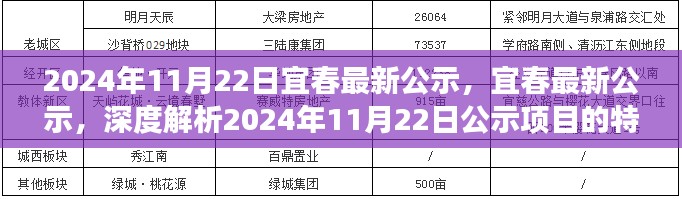 宜春最新公示深度解析，项目特性、体验、竞争分析与用户群体洞察