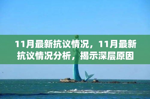 深度解析，11月最新抗议浪潮背后的原因及我的立场