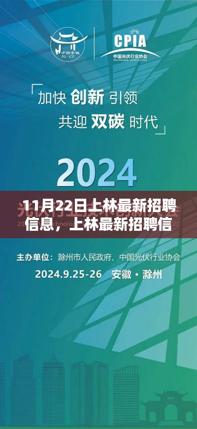 11月22日上林最新招聘信息全面解析与深度测评