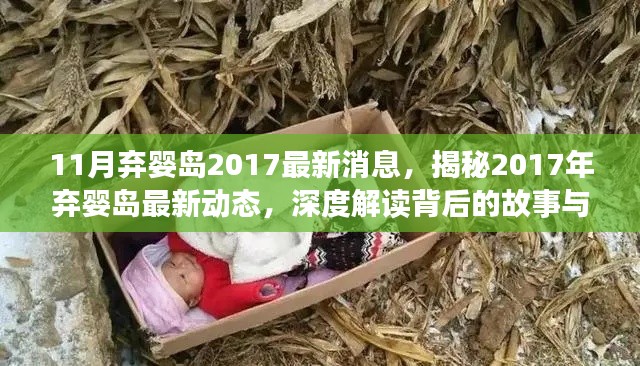 揭秘弃婴岛最新动态，深度解读背后的故事与改变（2017年最新消息）