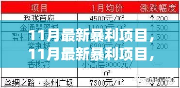 11月最新暴利项目，开启财富之旅，体验变化带来的自信与成就感